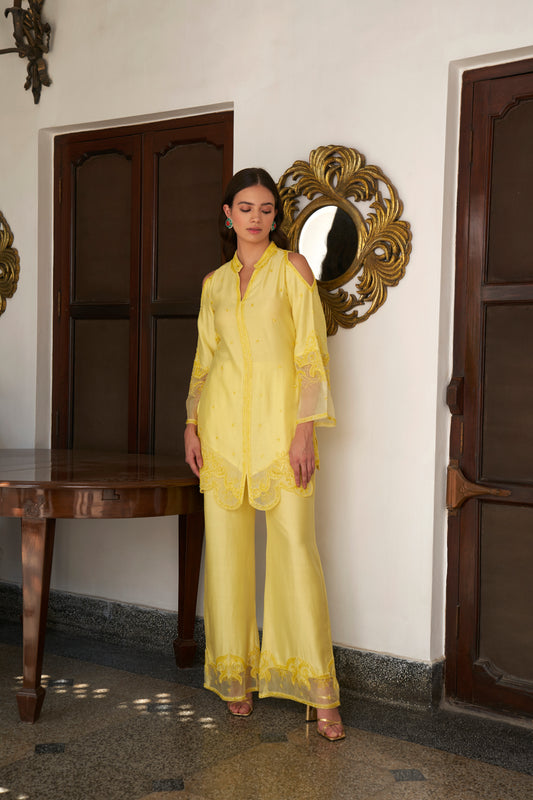 Delicate Lemon Silk Chanderi Embroidered Set