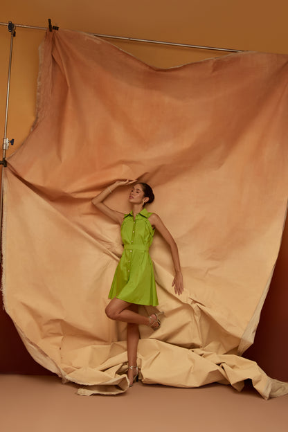 Lime Dress