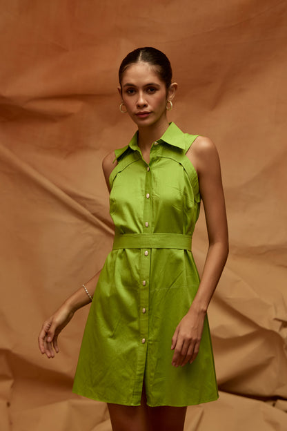 Lime Dress